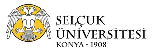 Selçuk SUBEL